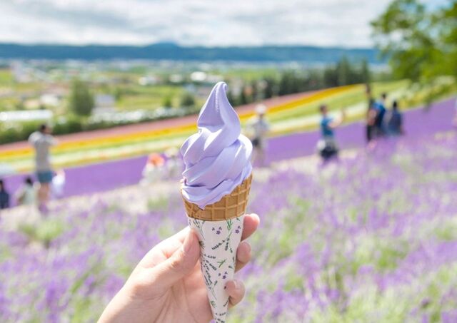 Gelato Hokkaido nei campi di fiori di Furano