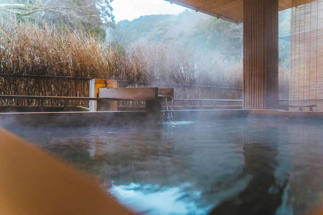 Sorgente termale in un ryokan