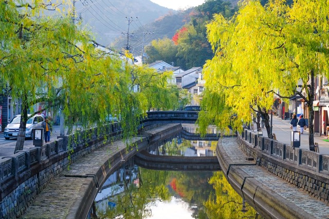 Fiume Ōtani con salici e ponticelli, Kinosaki Onsen 