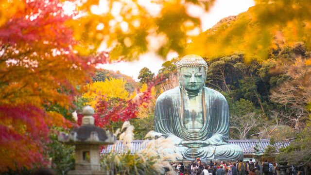 Grande Buddha, Kamakura (opzionale) 