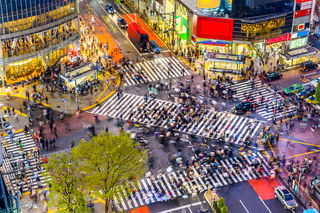 Shibuya Crossing, Tokyo 