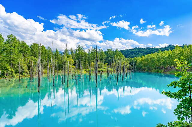 Stagno blu di Shirokane a Biei