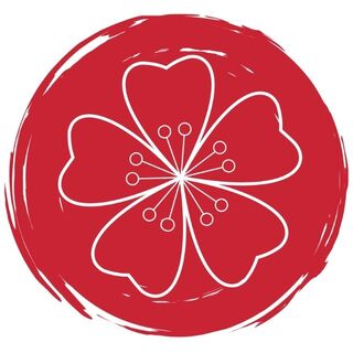 Mami Saito - Specialista operativo