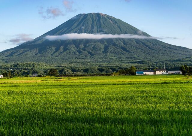 Il monte Yotei tra le risaie, Hokkaido
