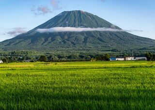 Il monte Yotei tra le risaie, Hokkaido