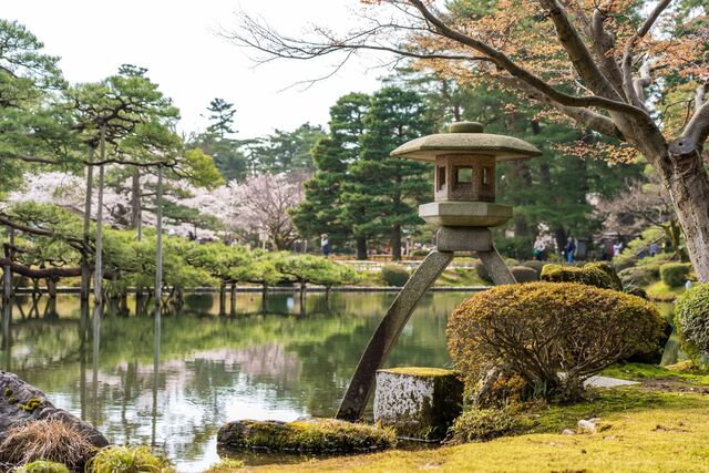 Primavera nel giardino Kenrokuen, Kanazawa