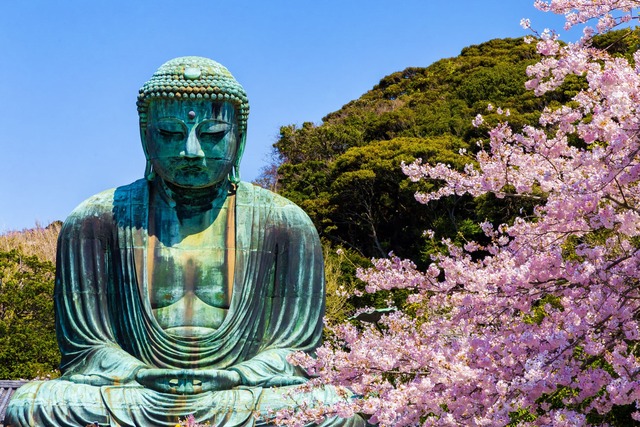 Il Grande Buddha di Kamakura con i ciliegi in fiore 
