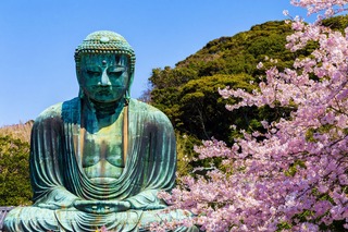Il Grande Buddha di Kamakura con i ciliegi in fiore 
