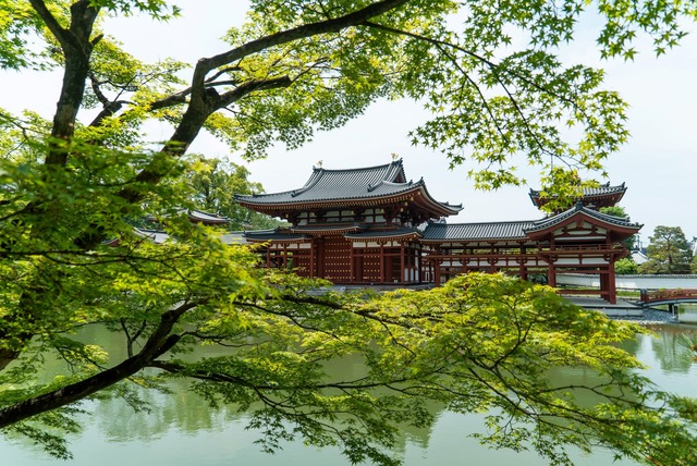 Tempio Byodo-in con acero giapponese, Uji 