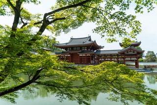 Tempio Byodo-in con acero giapponese, Uji 