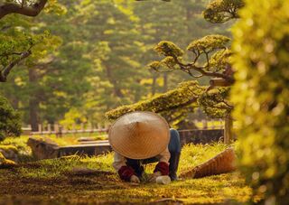 Giardiniere a lavoro nel Giardino Kenrokuen a Kanazawa 