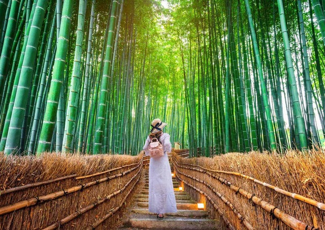Una donna cammina nella foresta di bambù di Arashiyama