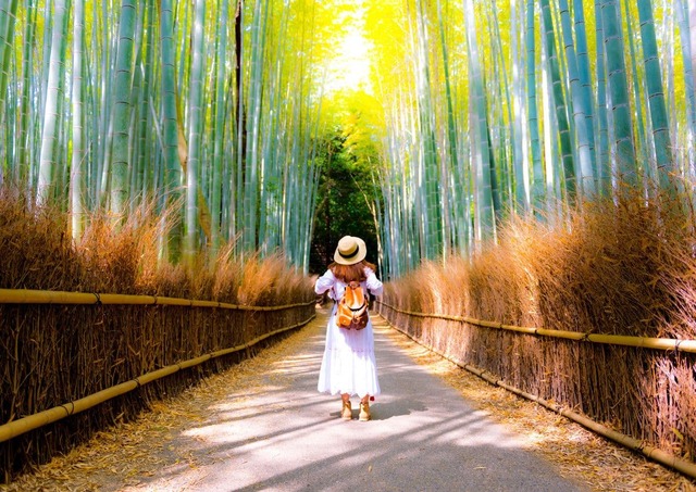 Viaggiatrice visita la foresta di bambù di Arashiyama, Kyoto