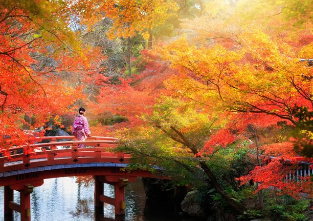 Una donna in kimono attraversa un ponte in autunno in Giappone 