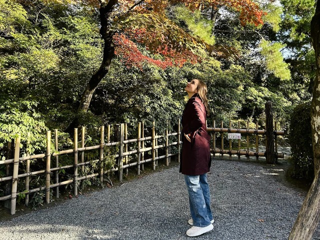 Ammirando il Momiji giapponese