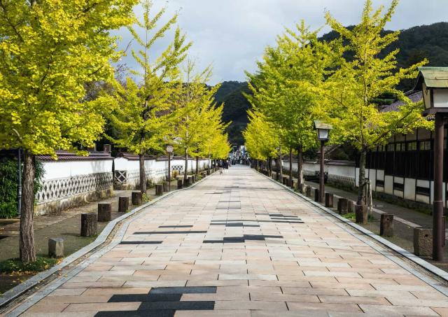 Via Tonomachi, Tsuwano