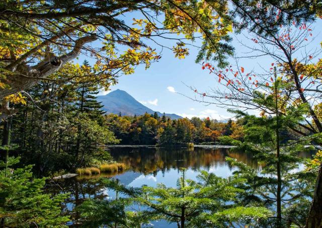 Parco nazionale di Shiretoko