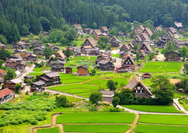 Il villaggio di Ogimachi in estate