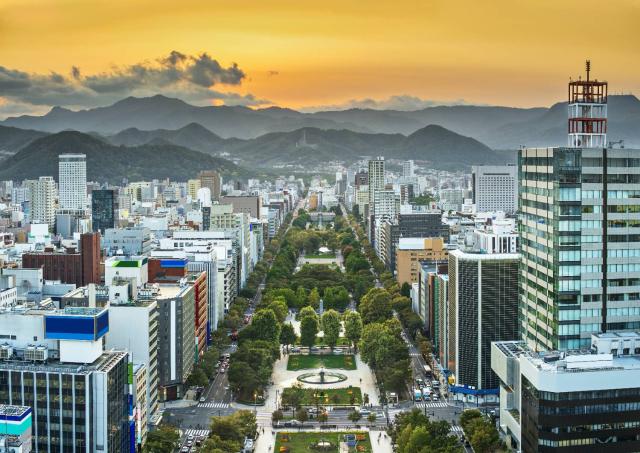 Sapporo e il Parco Odori visti dall'alto