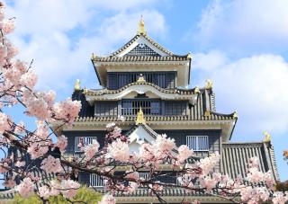 Castello di Okayama in primavera