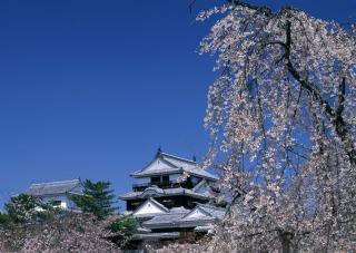Castello di Matsuyama