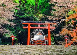Portale sacro (torii), santuario Kirishima Jingu