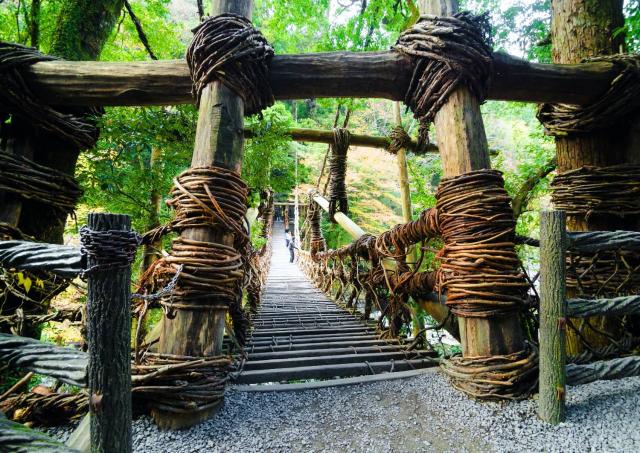 Il ponte di rampicanti Kazurabashi