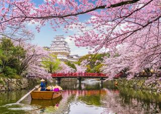 In barca tra i ciliegi fioriti, lungo i fossati del castello di Himeji