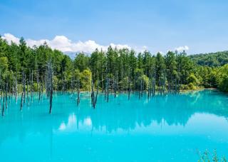 Il Lago Blu di Shirogane, Biei