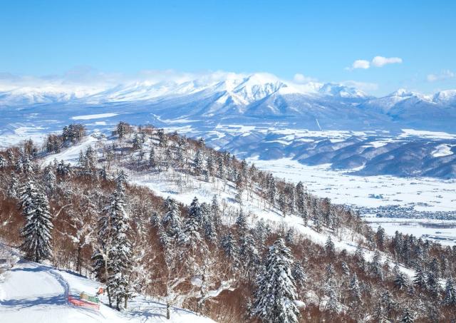Furano Ski Resort