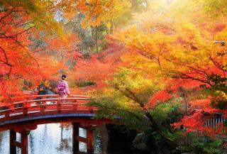 Giappone in autunno