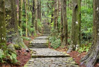 Il Sacro Cammino Kumano Kodo