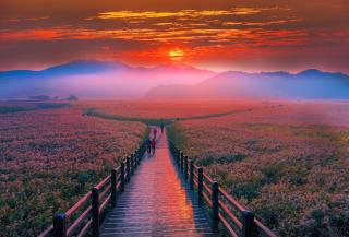Baia di Suncheon, Yeosu