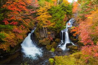 Cascata di Ryuzu, Nikko