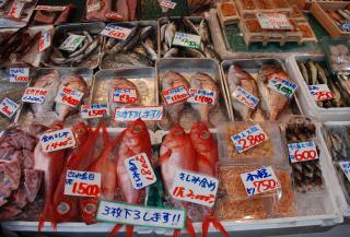 Mercato ittico di Tsukiji, Tokyo