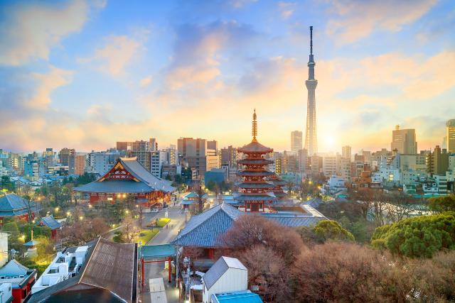 Vista aerea di Tokyo