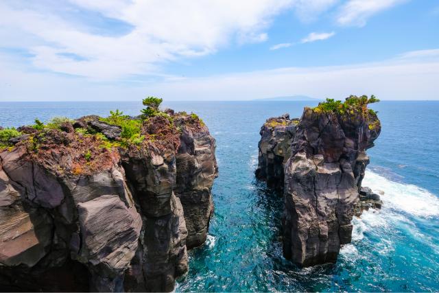 Costa di Jogasaki, Penisola di Izu