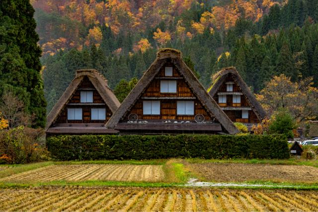 Gassho-zukuri Minka-en, Ogimachi