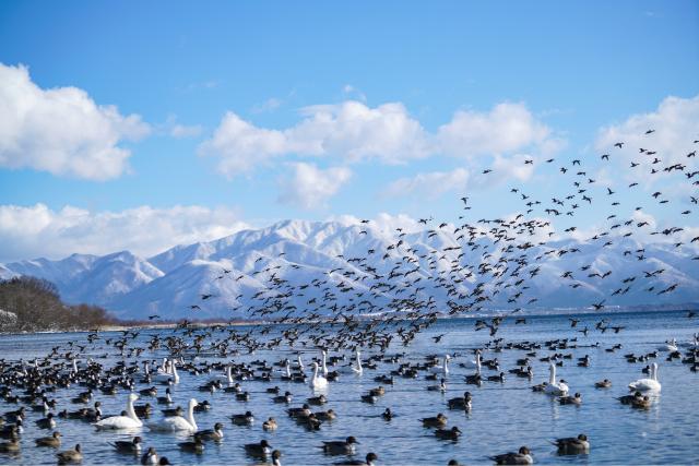 Lago Inawashiro, Sendai