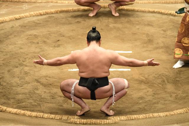 Allenamento di sumo