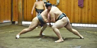 Allenamento di sumo