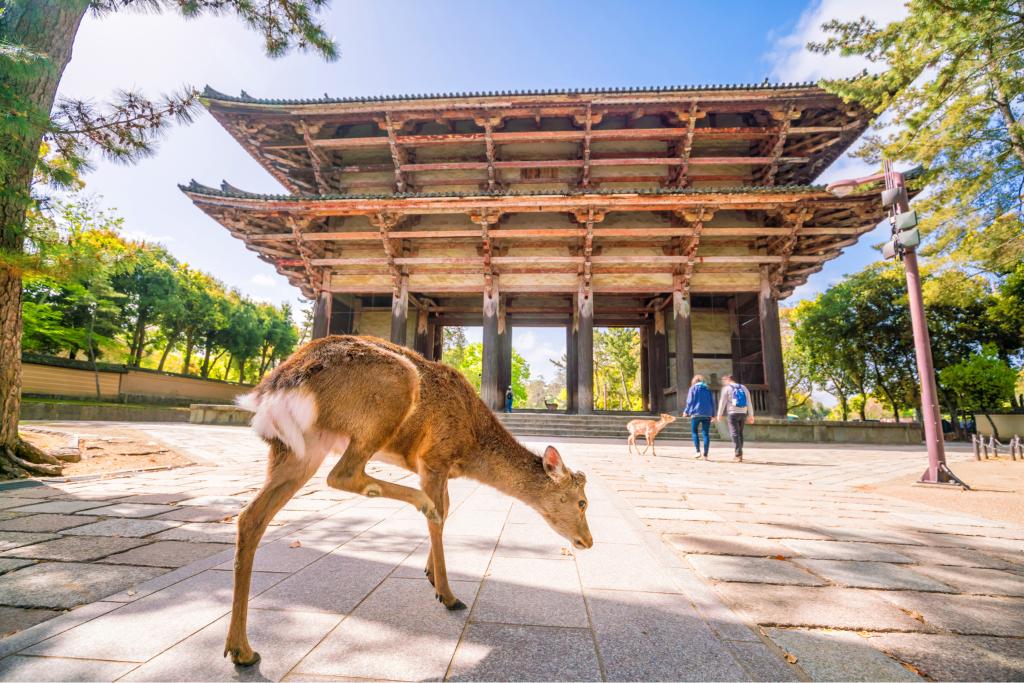 Tempio Todai-ji, Nara