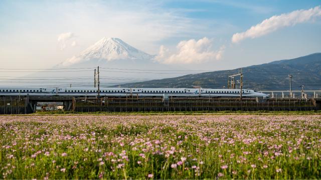 Treno proiettile shinkansen e Monte Fuji