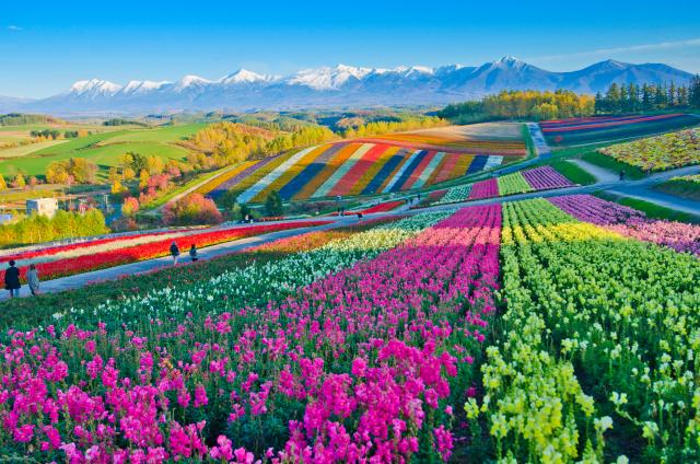 Spettacolare paesaggio dell'Hokkaido