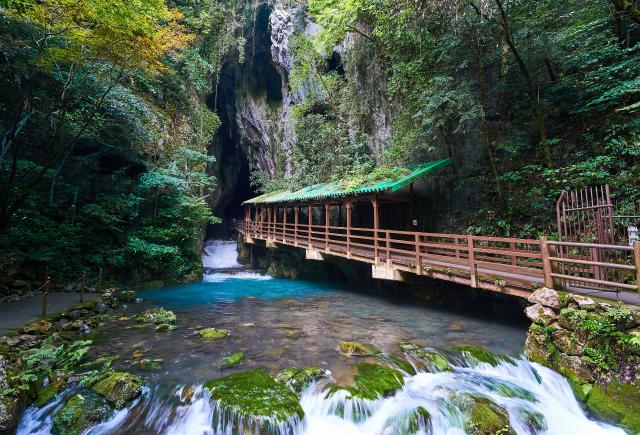 Parco nazionale di Akiyoshidai, Yamaguchi