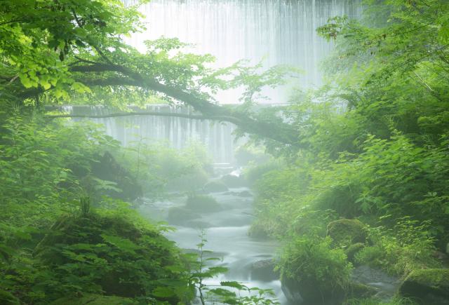 Torrente Kitanisawa, Monte Daisen, Tottori