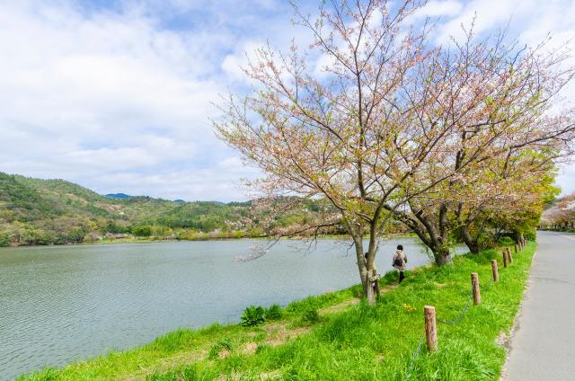 Stagno Hirosawa