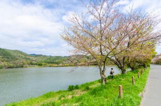 Stagno Hirosawa