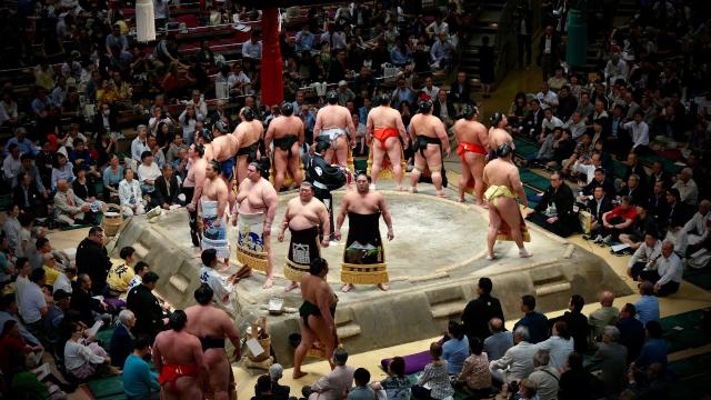 Lottatori di Sumo