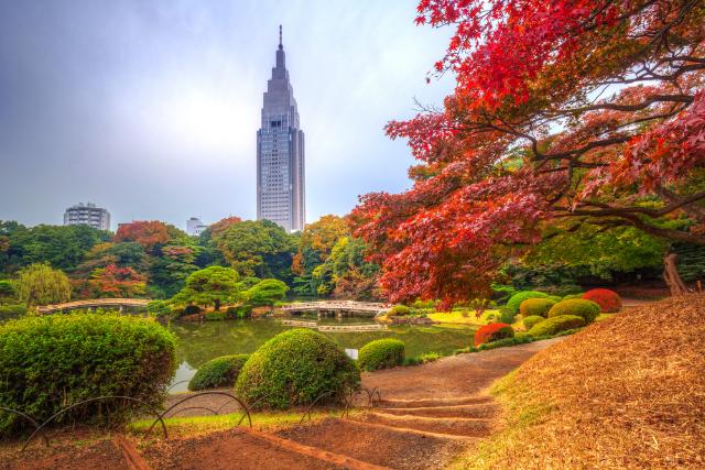 Autunno nel Parco di Shinjuku, Tokyo